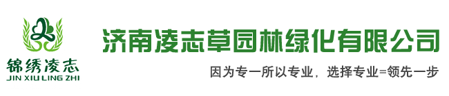 济南凌志草园林绿化有限公司